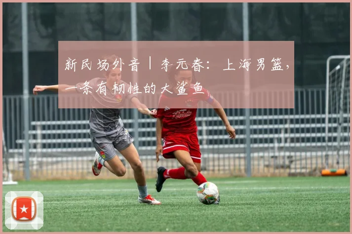 新民场外音｜李元春：上海男篮，一条有韧性的大鲨鱼