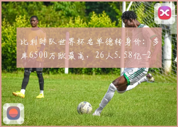 比利时队世界杯名单德转身价：多库6500万欧最高，26人5.58亿